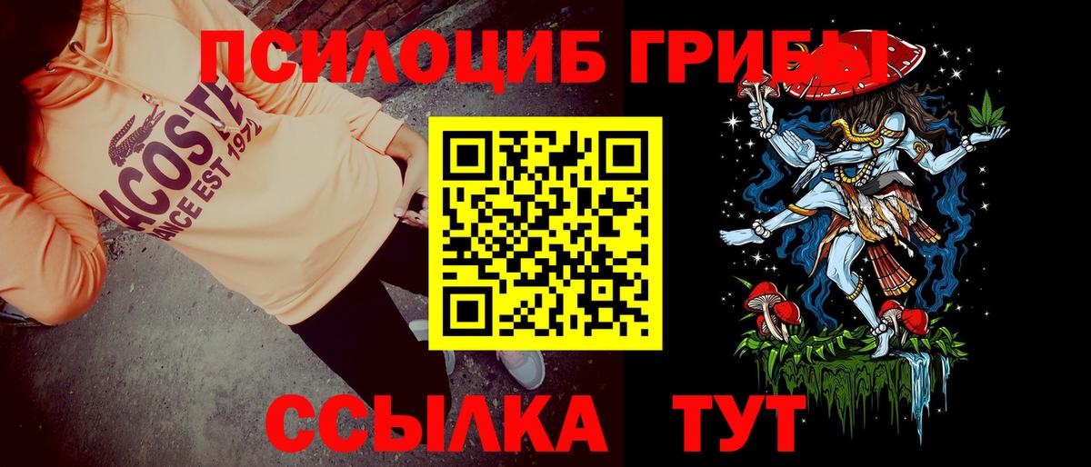 Псилоцибиновые грибы Psilocybine cubensis Вичуга