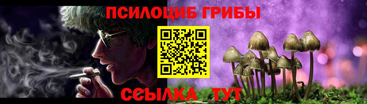 продажа наркотиков  Галлюциногенные грибы прущие грибы  Вход с VPN  Вичуга 